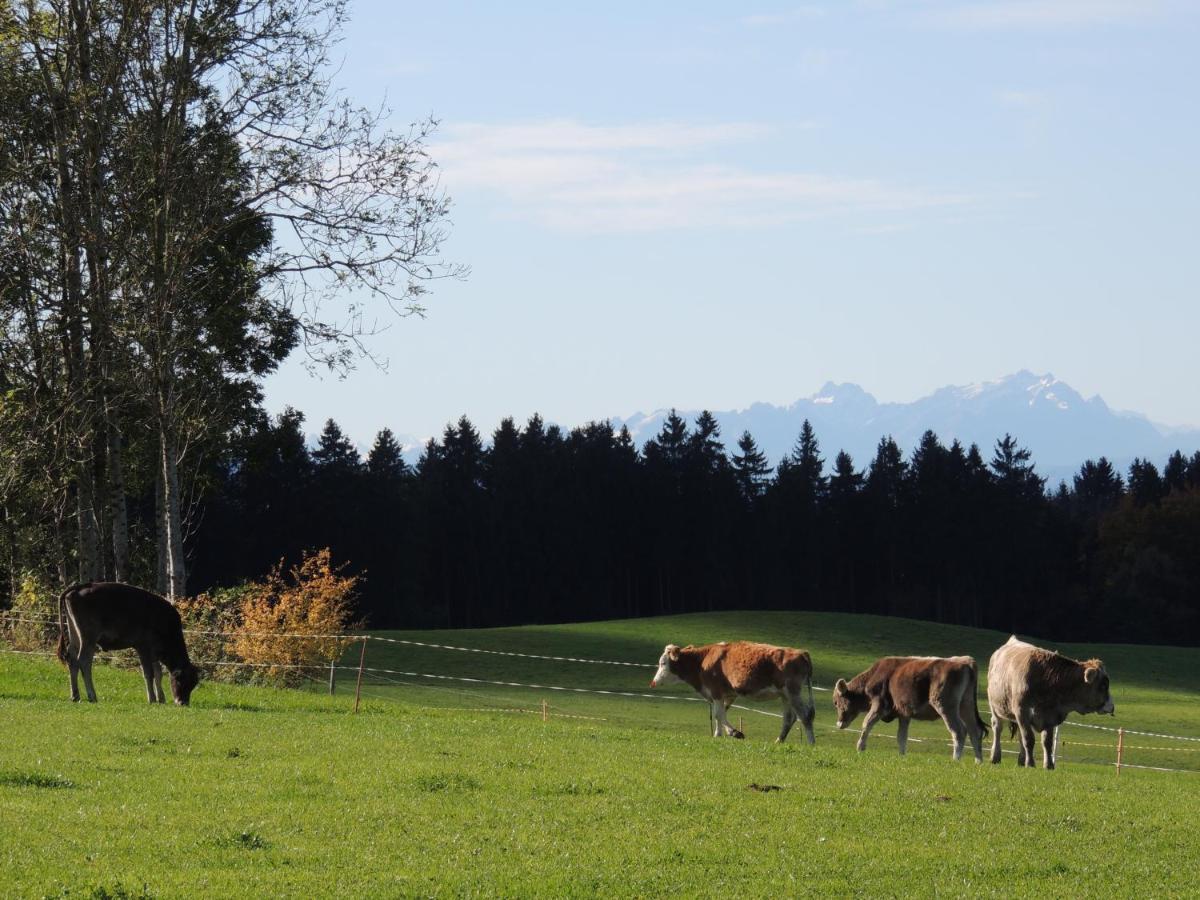 Ferienwohnung Butscher Isny im Allgäu Exteriér fotografie